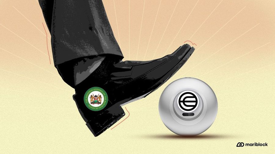 Kenya NASS panel on WC