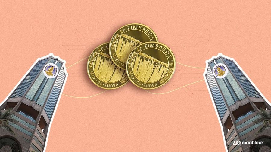 RBZ token platform finalised