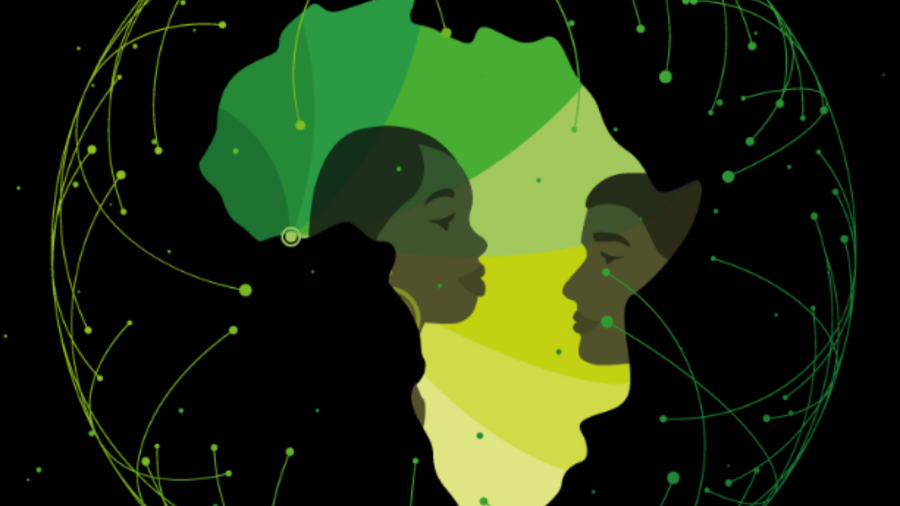 survey 13 of african companies plan png